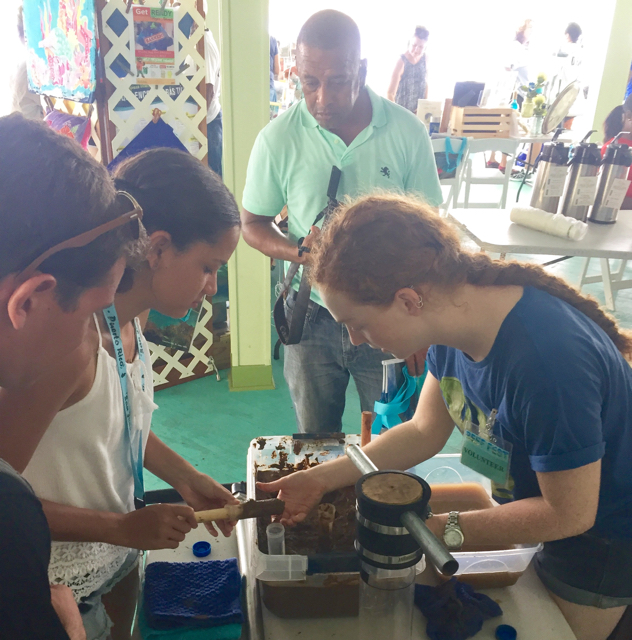 An exhibit at Saturday's Reef Fest gives a hands-on activity on to the importance of blue carbon, which is carbon absorbed by marine ecosystems.