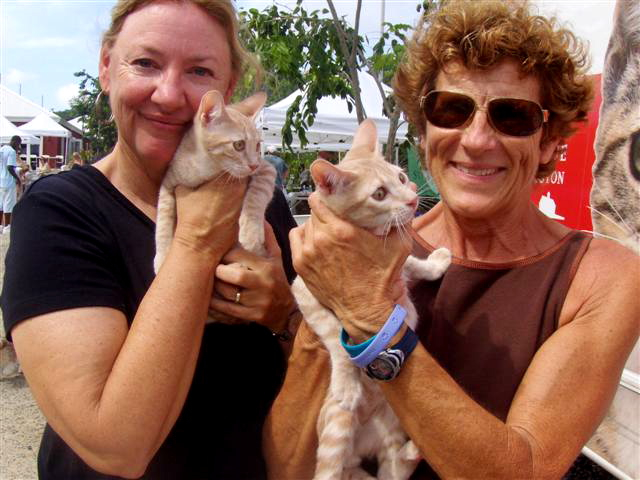 Ann Magnuson ruth st thomas Ann Magnuson ruth st thomas