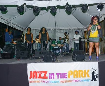 Jazz in the Park performers (by Chic Photography)
