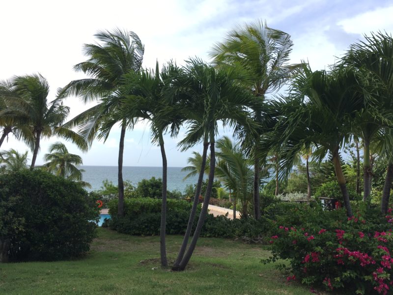 Cruzan Rum Distillery Donates $500,000 to Fund for Hurricane