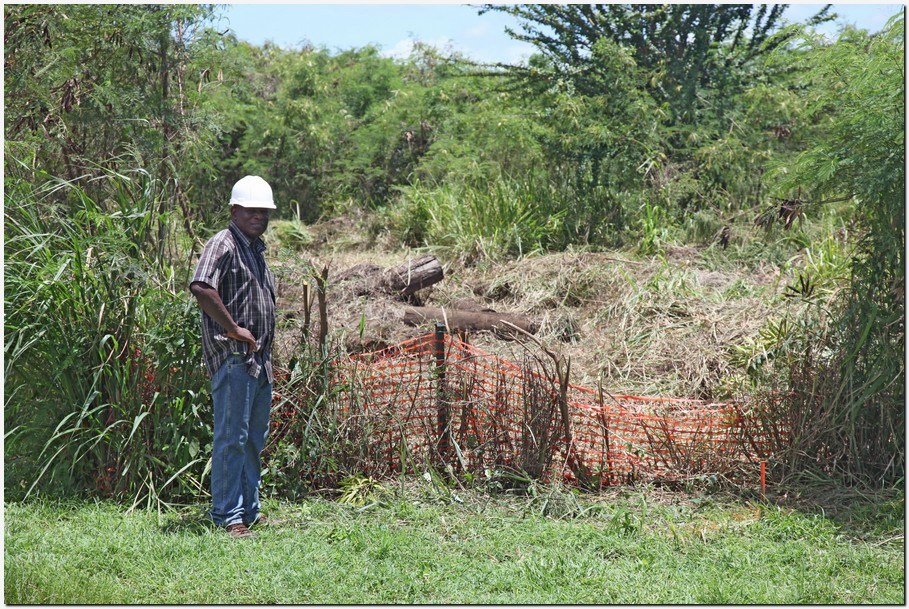 Alfred Gumbs of Apex Construction stands by area being prepared for survey and silt apron placement, to prevent sediment runoff.