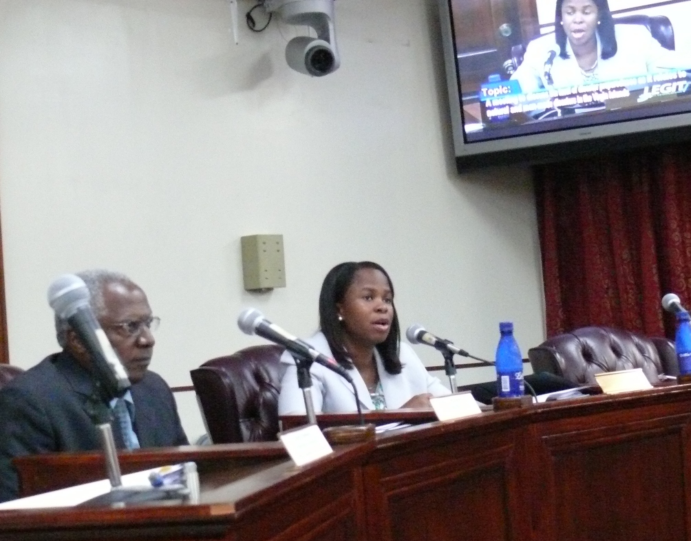 V.I. Housing Finance Authority COO Adrienne Williams told the Public Safety committee that long-term shelter is nonexistent.