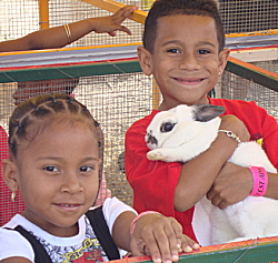 A soft bunny brings smiles to Agrifest.