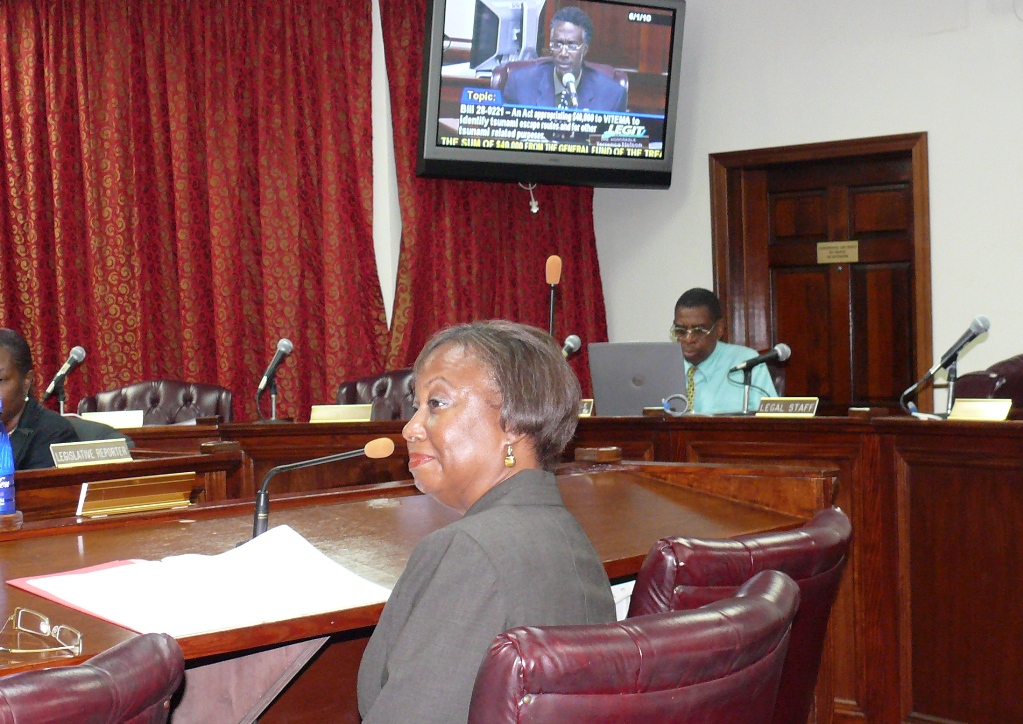 VITEMA Assistant Director Jacqueline Heyliger at Tuesday's Senate committee hearing.
