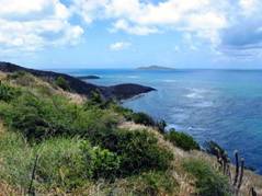 A view of one small section of St. Croix's East End Marine Park. (Photo Courtesy of V.I. RC & D)