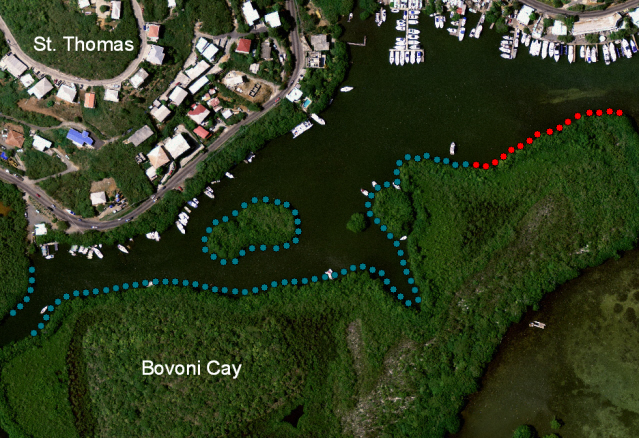 Red dots show the first phase of moorings at Benner Bay; blue dots are where others eventually will be installed. Click to enlarge. (Photo courtesy DPNR)