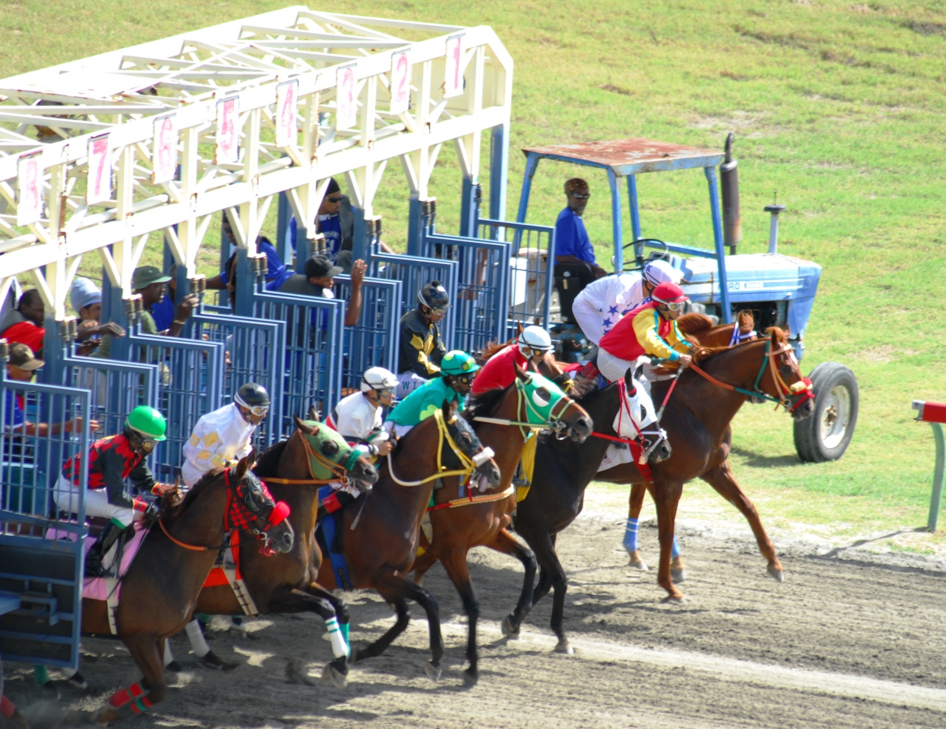 The horses broke alertly from the gates at the Randall "Doc" James Racetrack on Sunday.