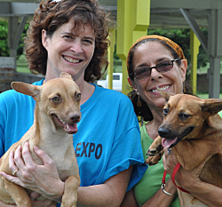 Volunteers Julie Case (left) and Lucille Savarino with AWC puppies Nate and Drew, who are up for adoption.