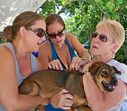 Not everyone one felt microchips were such a great thing, despite the ministrations of Melissa Pieffer (left), Chelsie Claus, and Meredith Emmons.