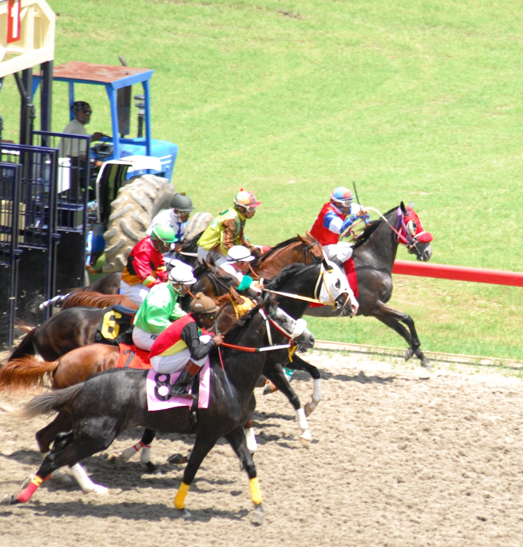 Promoters are hoping the St. John Festival Cup will be an annual event.