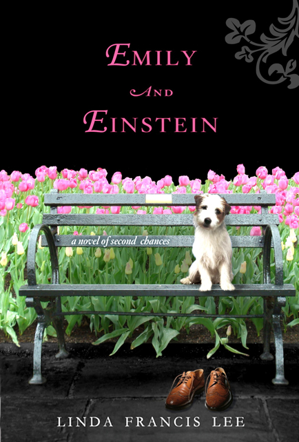 'Emily & Einstein'