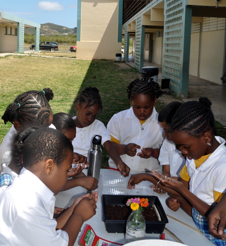 Students at the seed station learning how to plant flowers and snap beans.