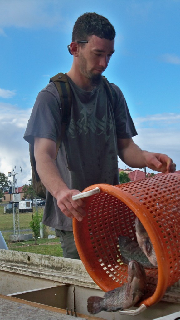 Ajna Rigell, from Boone N.C., harvests tilapia. 