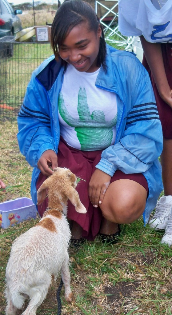 Central student Amiah Huertas feeds the orphan baby goat.
