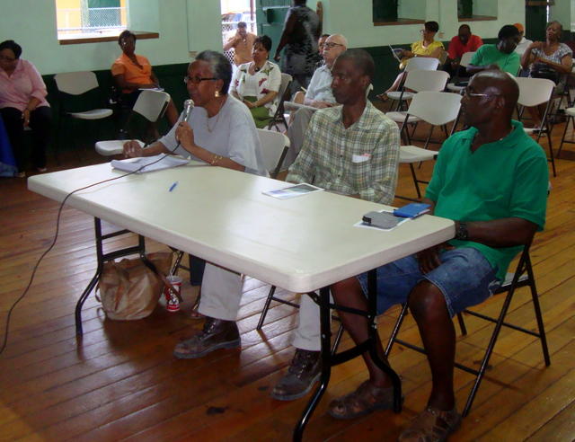 Forum attendees Mary Moorhead, Gustin James, and Scott Liburd (from left) present their testimony to the St. Croix District Board of Elections Wednesday.