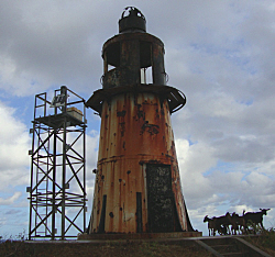 The new tower and light, the old lighthouse, and local goats.