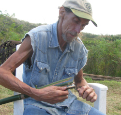 Bushskills guide Steven 'Snow Bear' Taylor takes his pocket knife to carve his bamboo fishing spear.