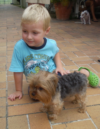 Nico Forno D'Adamo and a tiny Yorkie enjoy the Sundae Funday at Polly's at the Pier. 