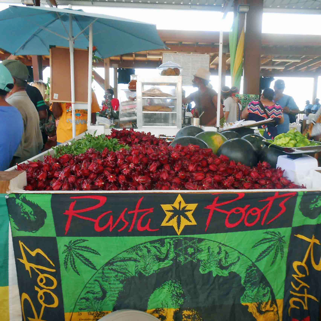 A stand of sorrell lends a colorful splash to the Bordeaux Farmers' Rastafari Agriculture and Cultural Vegan Food Fair. 