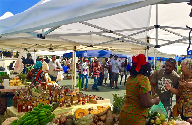 The inaugural Smith Bay Agriculture Fair drew more than 200 community members and tourists on Saturday. (Photo by Jacquelyn Deport)