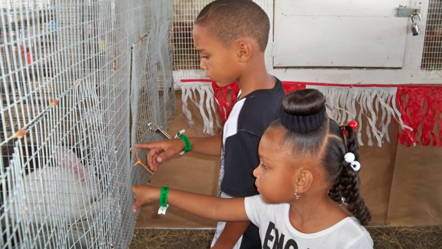 Makayla Alfred and Malachi Alfred pet bunnies at Agrifest.