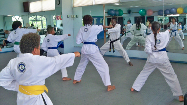 King Cobra Taekwondo students go through training at Beeston Hill.