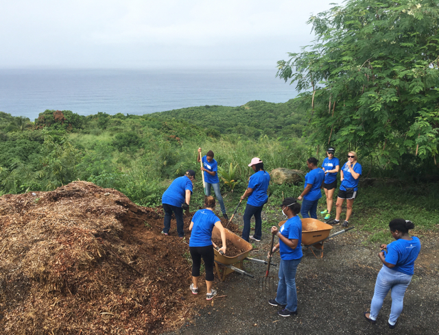 Volunteers from ICMC, in blue, muscle through the rain with members of We Grow Food Inc. to build out garden beds and plant herbs and vegetables. (Photo provided by ICMC)