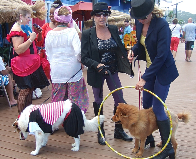 Winners of the 8th annual Krewe de Barkus parade Saturday included a "lion" and trainers, circus animals and pirates.