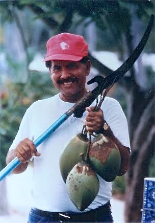 Lanscape supervisor Leslie Phipps in the 1970s. (Photo provided by Bolongo Bay)