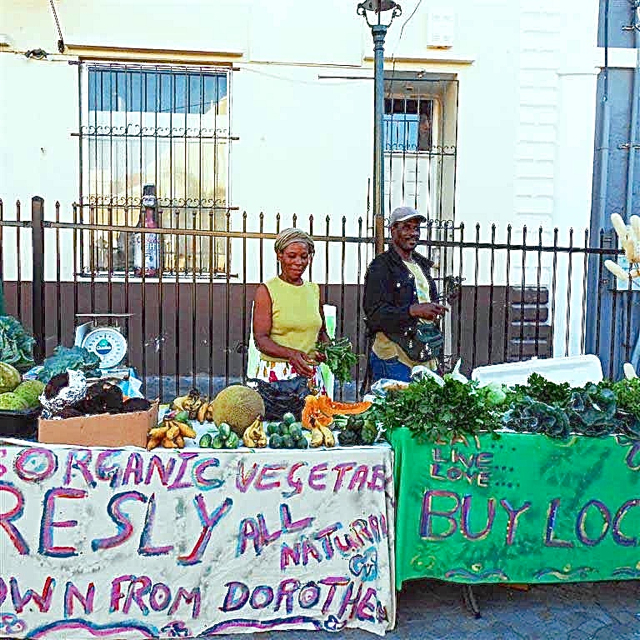 Drina and Simon Anthony are back in their farm stand at the Market Square.