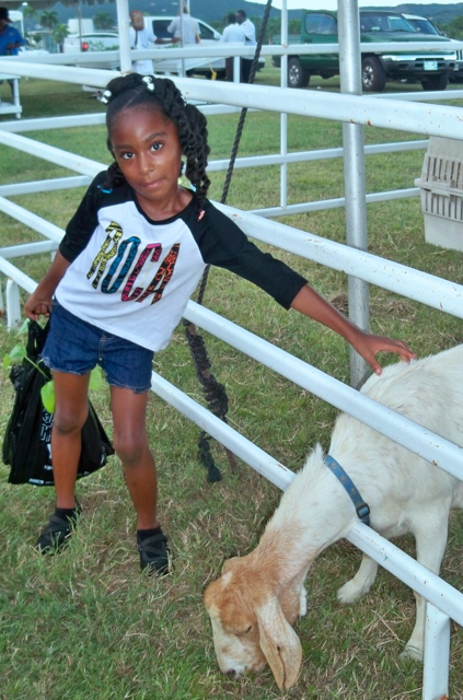 Ani Velez pets a goat at UVI's World Food Day celebration.