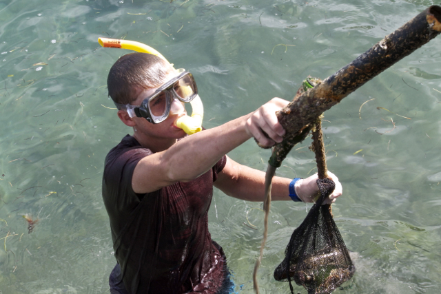 Scuba divers and snorkelers scoured the harbor bed for trash. 