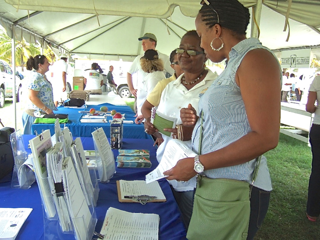Energy providers and educators interact with the public Saturday at the VIenergize vendor's fair.