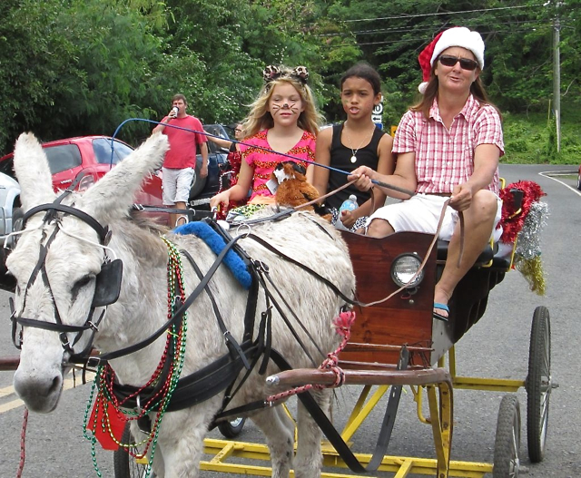 Dana Bartlett takes children on donkey cart rides.