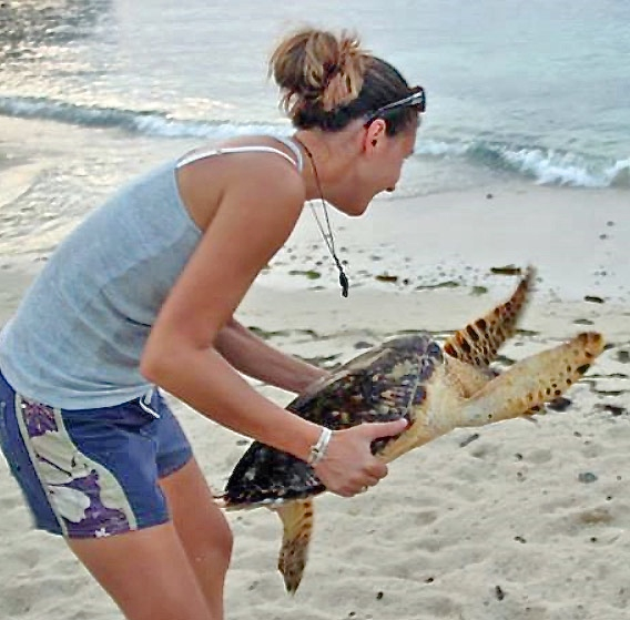 STAR vet tech Erica Palmer releases a turtle that had been nursed slowly back to health. (Photo provided by STAR)