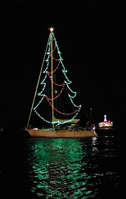 Molto Benne, as a giant Christmas tree, is among the lighted boats that dotted the harbor.