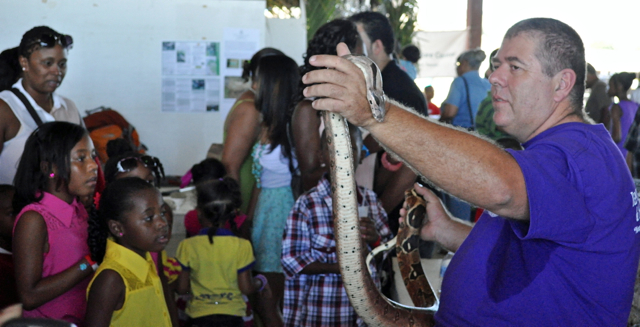 William Coles displays a red-tailed boa constrictor snake caught near Creque Dam last year.