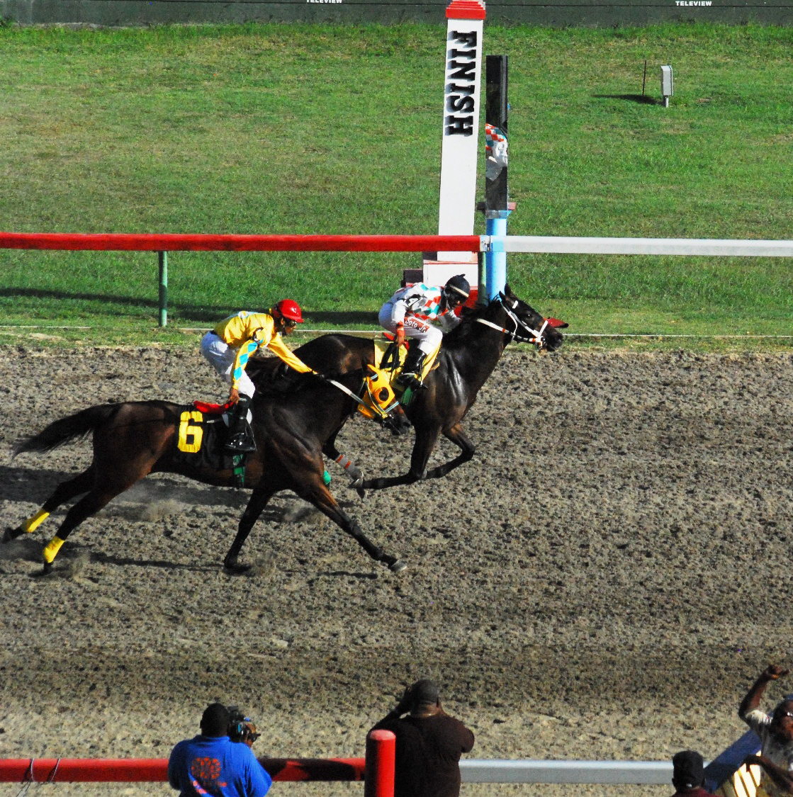 Plotter beat out Turned to Gold by a half-length.
