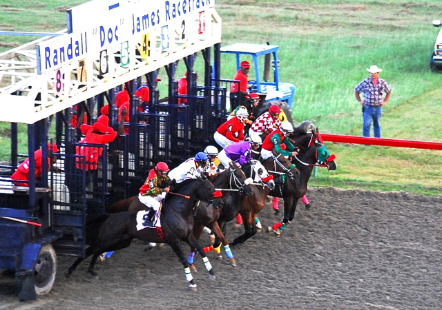 Horses break from the gate at the Randall 'Doc' James Racetrack.