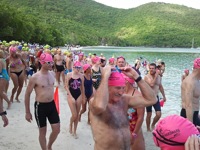 Swimmers prepare to enter water at Maho Bay Sunday morning for Beach-to-Beach Power Swim.