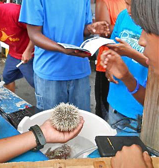Students learn how to hold a sea urchin - Carefully!