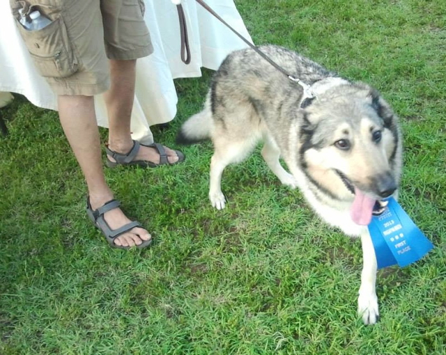 Levi wins the old-timer event and the Wagapalooza audience's hearts. 