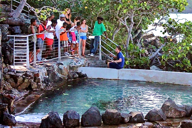 A group gathers for a sea turtle demonstration.