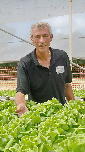 Brian McCullough shows Boston Bibb lettuce that he grows directly in a nutrient-rich solution instead of dirt.