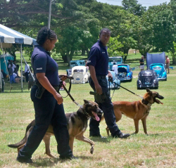 K-9 Unit officers Nakia Samuel and Lionel Benjamin walk their partners.