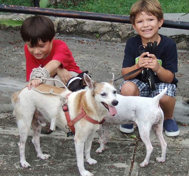 Two boys and their dogs wait for the start of the annual Blessing of Pets Saturday at Holy Cross Church.