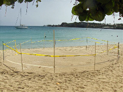 A turtle nest is fenced off on Lindbergh Bay.