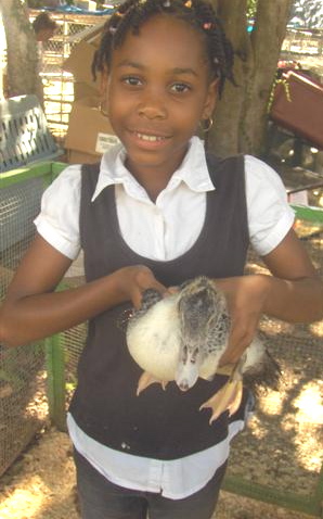 Brittany Leonard holds a duck in the petting zoo. Brittany Leonard holds a duck in the petting zoo.