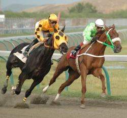 Green Sand, on the rail battling Gallant Ruler, will be a favorite in Sunday&rsquo;s one-mile feature race.
