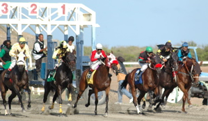 An even break last race day at the Randall 'Doc' James Race Track.